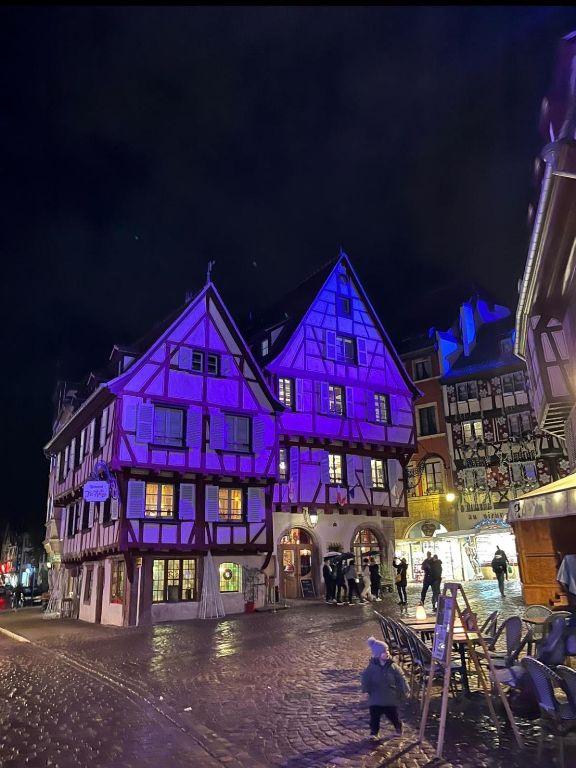 Le Venise, Parking Prive, Neuf & Spacieux Colmar Eksteriør billede