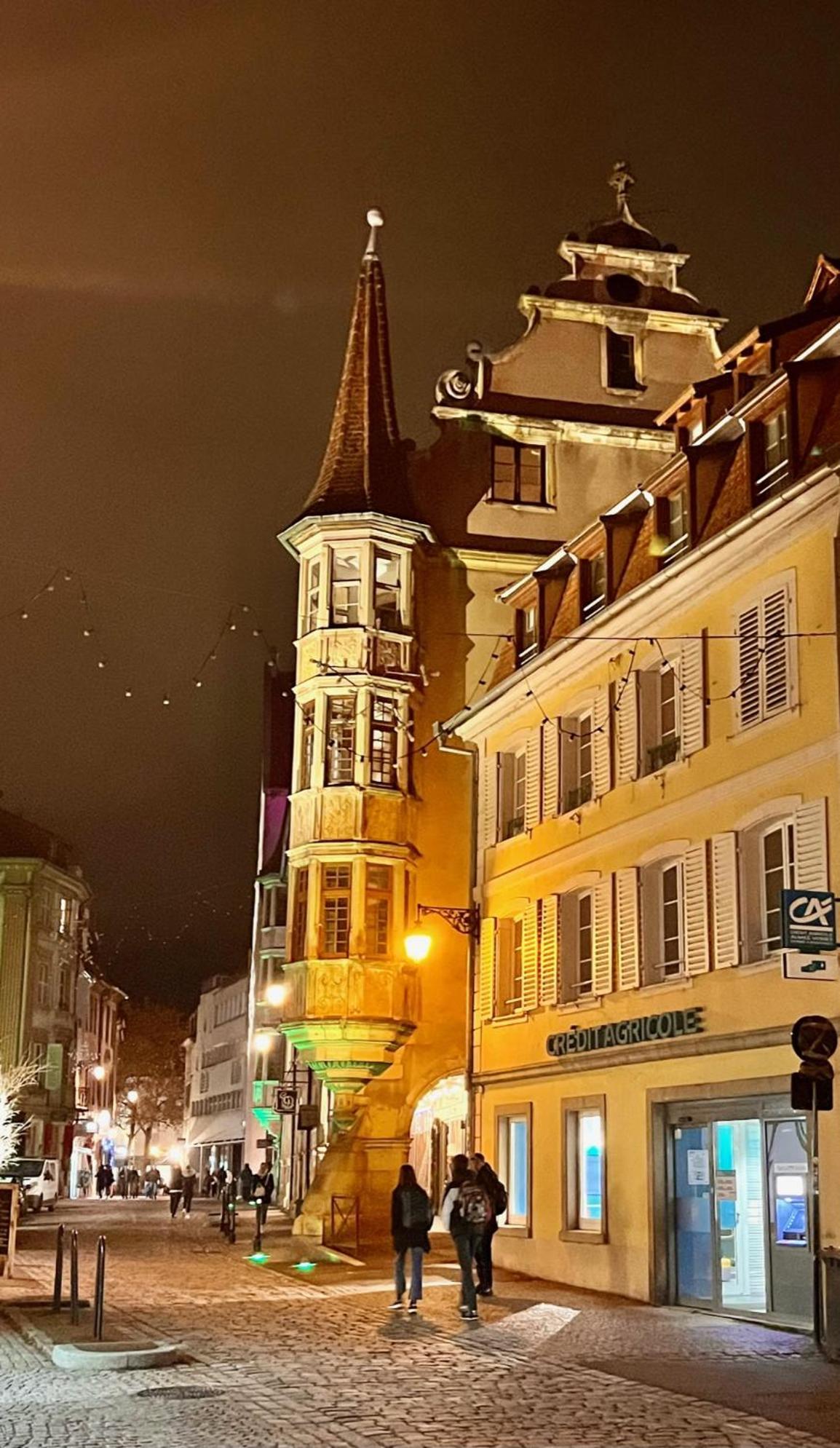 Le Venise, Parking Prive, Neuf & Spacieux Colmar Eksteriør billede